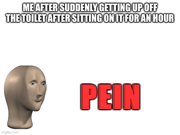 Blank White Template | ME AFTER SUDDENLY GETTING UP OFF THE TOILET AFTER SITTING ON IT FOR AN HOUR; PEIN | image tagged in blank white template | made w/ Imgflip meme maker
