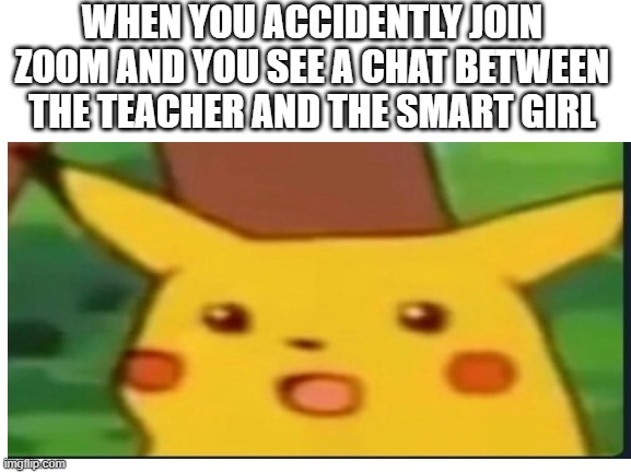 busted | WHEN YOU ACCIDENTLY JOIN ZOOM AND YOU SEE A CHAT BETWEEN THE TEACHER AND THE SMART GIRL | image tagged in school | made w/ Imgflip meme maker