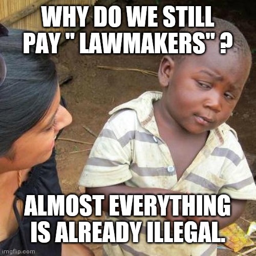 Riddle me this teacher | WHY DO WE STILL PAY " LAWMAKERS" ? ALMOST EVERYTHING IS ALREADY ILLEGAL. | image tagged in memes,third world skeptical kid | made w/ Imgflip meme maker