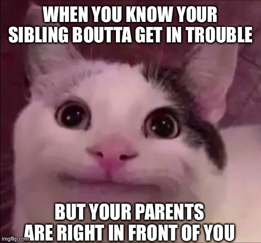 So hard to contain the laughter.. |  WHEN YOU KNOW YOUR SIBLING BOUTTA GET IN TROUBLE; BUT YOUR PARENTS ARE RIGHT IN FRONT OF YOU | image tagged in awkward smile cat,siblings,parents | made w/ Imgflip meme maker
