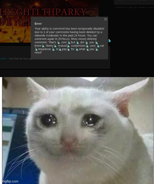 i commented that once- | image tagged in crying cat | made w/ Imgflip meme maker