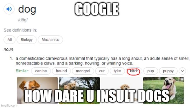 Dog def | GOOGLE; HOW DARE U INSULT DOGS | image tagged in dog def | made w/ Imgflip meme maker