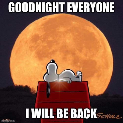 Goodnight | GOODNIGHT EVERYONE; I WILL BE BACK | image tagged in goodnight | made w/ Imgflip meme maker