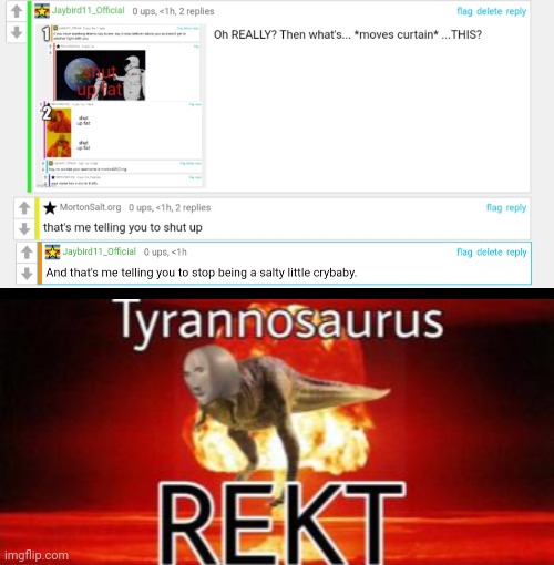 image tagged in tyrannosaurus rekt,toxic user | made w/ Imgflip meme maker