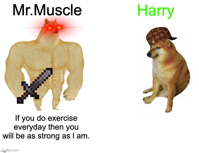 Mr.Muscle Harry If you do exercise everyday then you will be as strong as l am. | image tagged in memes,buff doge vs cheems | made w/ Imgflip meme maker