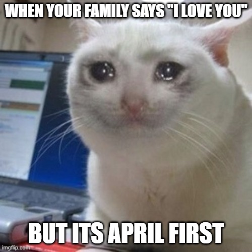 Crying cat | WHEN YOUR FAMILY SAYS "I LOVE YOU"; BUT ITS APRIL FIRST | image tagged in crying cat | made w/ Imgflip meme maker