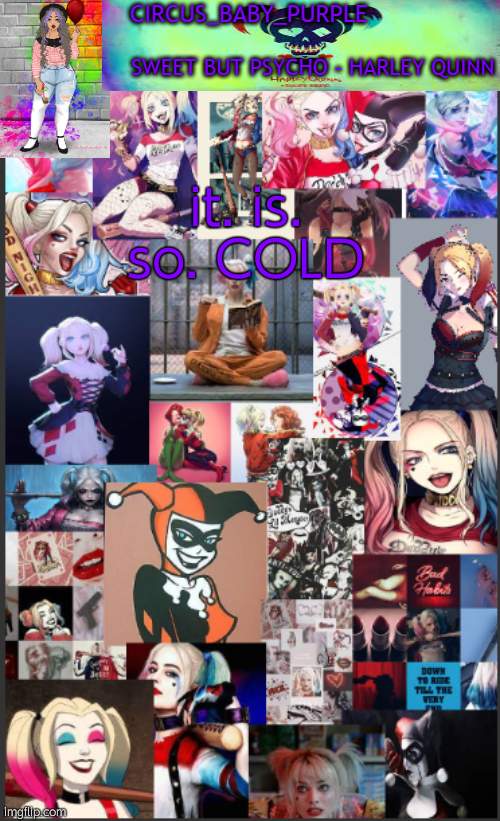 Harley Quinn temp bc why not | it. is. so. COLD | image tagged in harley quinn temp bc why not | made w/ Imgflip meme maker