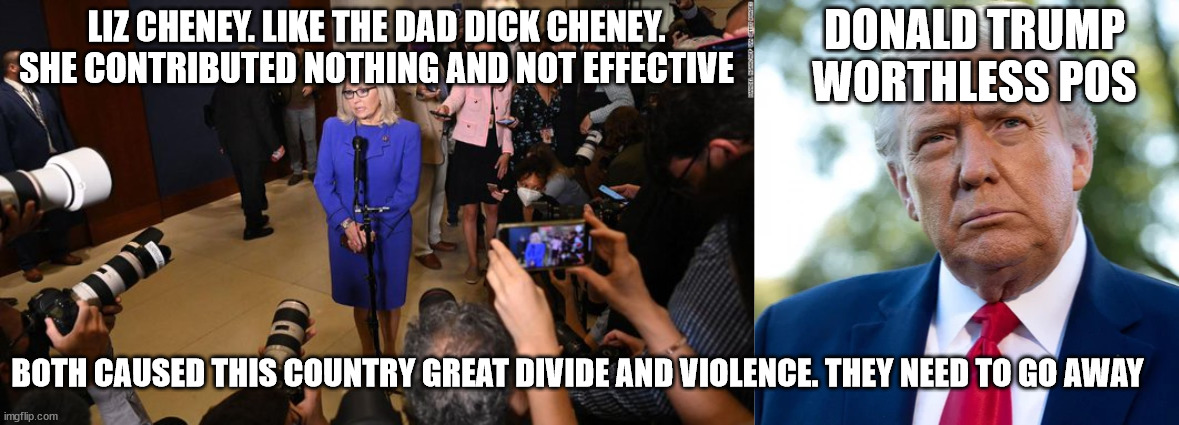 2 tales of Liz Cheney and Donald Trump. | DONALD TRUMP WORTHLESS POS; LIZ CHENEY. LIKE THE DAD DICK CHENEY. SHE CONTRIBUTED NOTHING AND NOT EFFECTIVE; BOTH CAUSED THIS COUNTRY GREAT DIVIDE AND VIOLENCE. THEY NEED TO GO AWAY | image tagged in donald trump,liz cheney,wyoming,this is worthless,trump 2016,election 2004 | made w/ Imgflip meme maker
