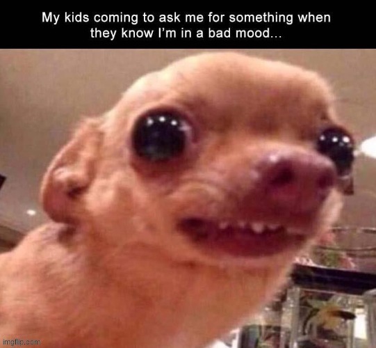 XD | made w/ Imgflip meme maker