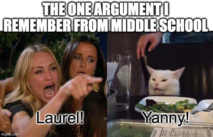 Yanny vs Laurel | THE ONE ARGUMENT I REMEMBER FROM MIDDLE SCHOOL; Yanny! Laurel! | image tagged in memes,woman yelling at cat | made w/ Imgflip meme maker