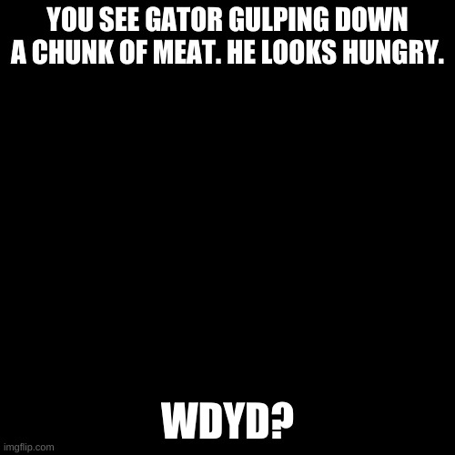 Blank black  template | YOU SEE GATOR GULPING DOWN A CHUNK OF MEAT. HE LOOKS HUNGRY. WDYD? | image tagged in blank black template | made w/ Imgflip meme maker