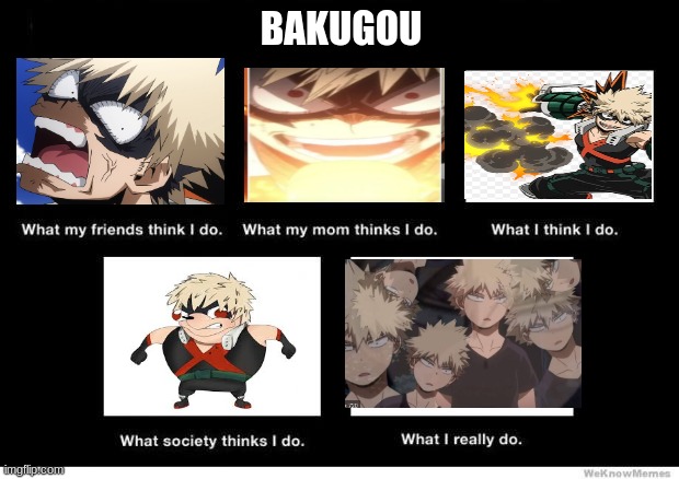 what Bakugou does |  BAKUGOU | image tagged in what i really do | made w/ Imgflip meme maker