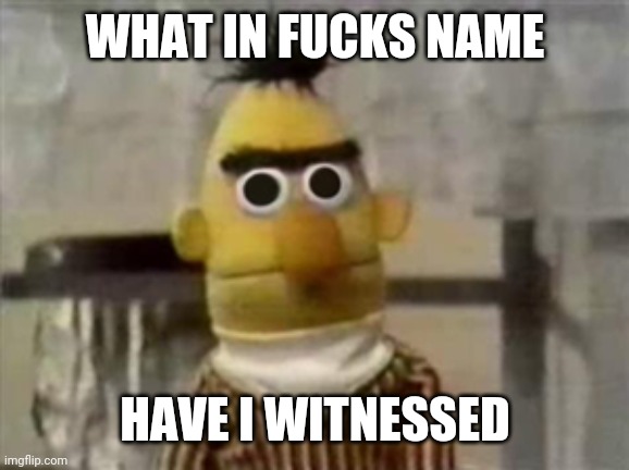 bert muppet what did i just see | WHAT IN FUCKS NAME HAVE I WITNESSED | image tagged in bert muppet what did i just see | made w/ Imgflip meme maker