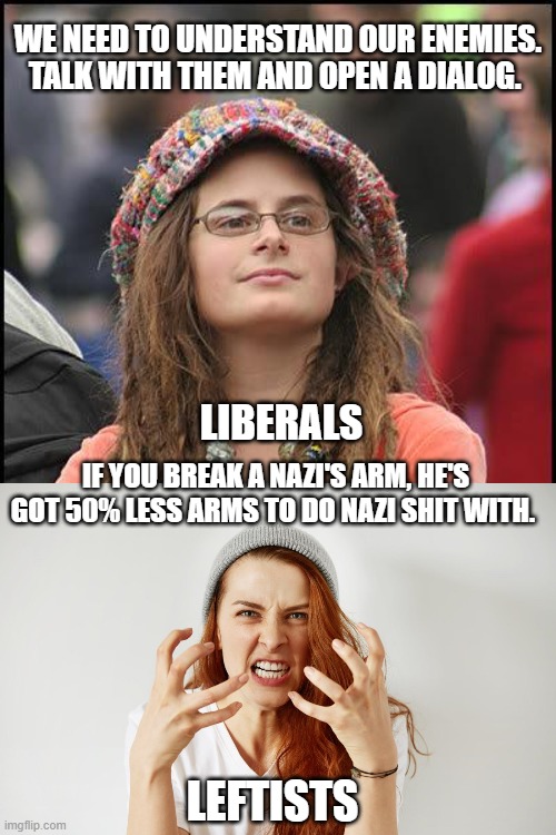 Can you spot the difference? | WE NEED TO UNDERSTAND OUR ENEMIES. TALK WITH THEM AND OPEN A DIALOG. LIBERALS; IF YOU BREAK A NAZI'S ARM, HE'S GOT 50% LESS ARMS TO DO NAZI SHIT WITH. LEFTISTS | image tagged in hippie,leftists | made w/ Imgflip meme maker
