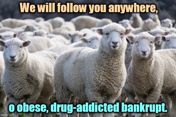 We will follow you anywhere, o obese, drug-addicted bankrupt. | image tagged in trump,sheep,follow | made w/ Imgflip meme maker