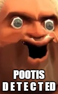 Pootis | POOTIS
D E T E C T ED | image tagged in pootis | made w/ Imgflip meme maker