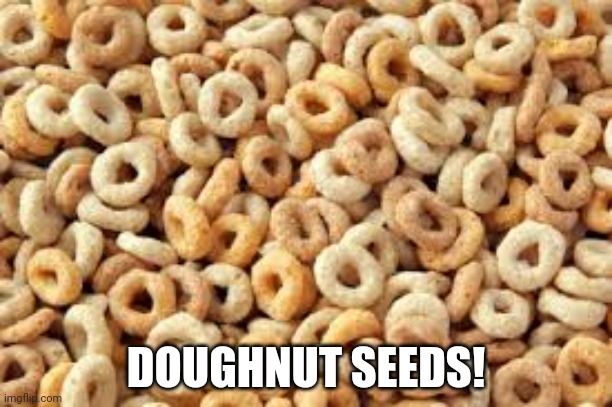 Lol |  DOUGHNUT SEEDS! | image tagged in cheerios | made w/ Imgflip meme maker