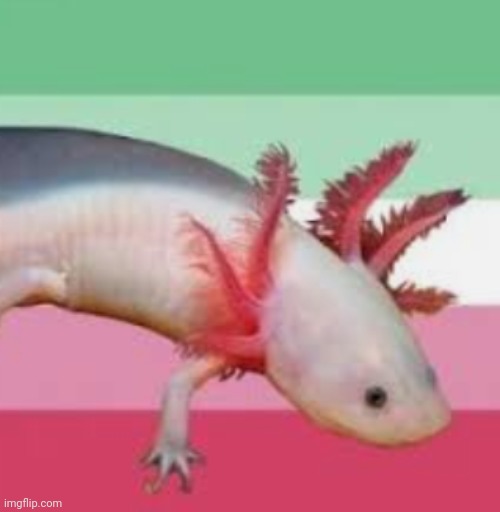 Djlssbbddkxkddknf | image tagged in bdksjbz | made w/ Imgflip meme maker