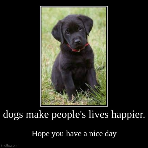 have a nice day | image tagged in funny,demotivationals,cute dog,have a nice day | made w/ Imgflip demotivational maker