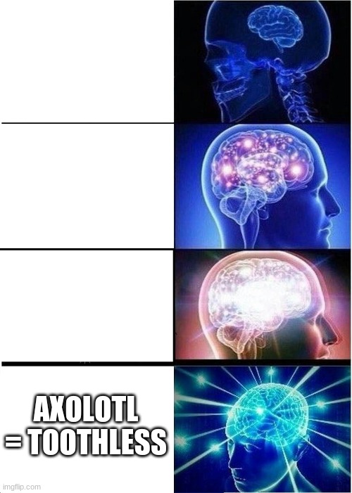 Expanding Brain Meme | AXOLOTL = TOOTHLESS | image tagged in memes,expanding brain | made w/ Imgflip meme maker