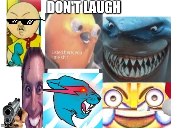 Try not to laugh | DON'T LAUGH | image tagged in blank white template | made w/ Imgflip meme maker