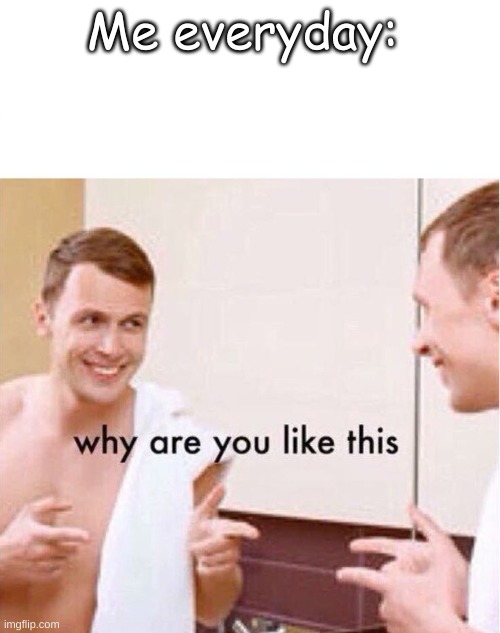 why are you like this | Me everyday: | image tagged in why are you like this | made w/ Imgflip meme maker