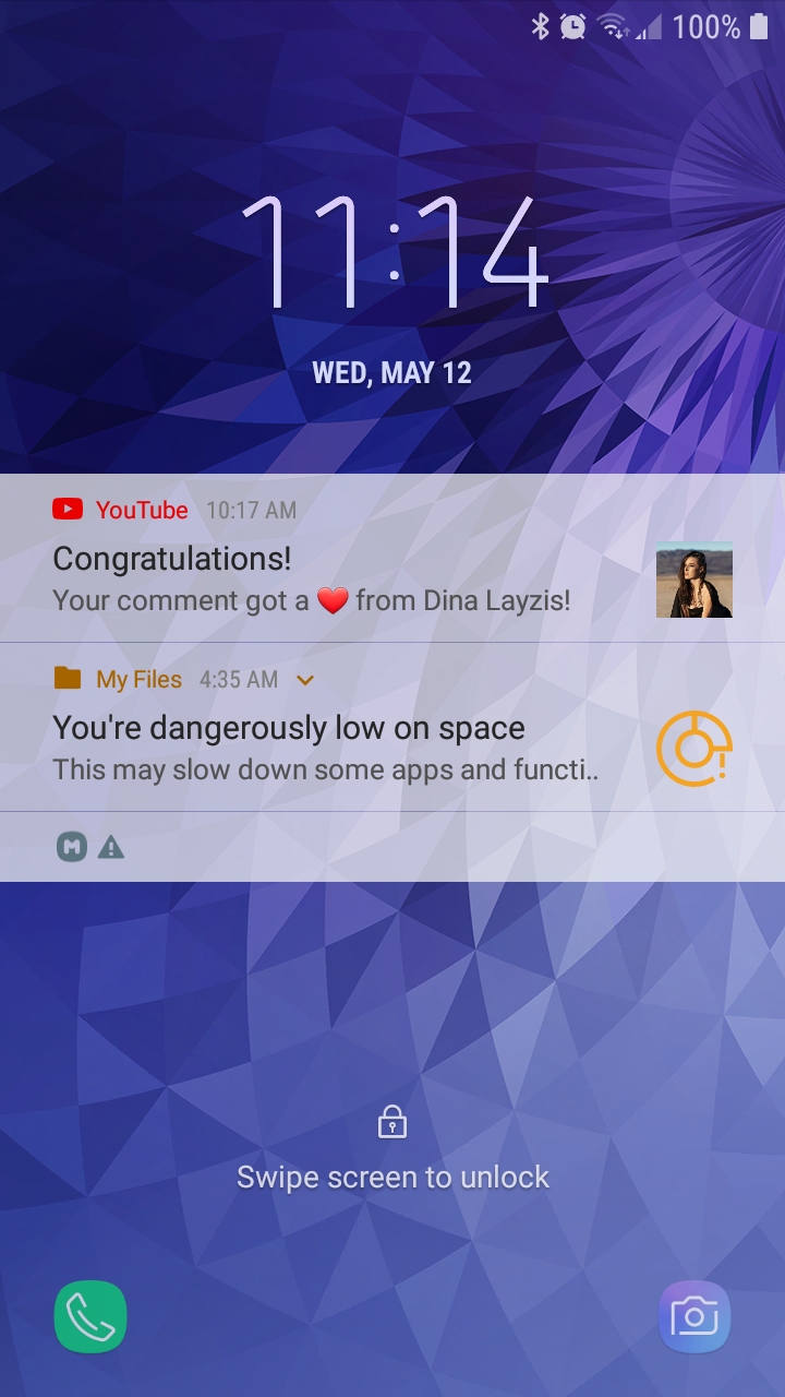 Dina Layzis Alert Blank Meme Template