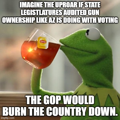 But That's None Of My Business | IMAGINE THE UPROAR IF STATE LEGISTLATURES AUDITED GUN OWNERSHIP LIKE AZ IS DOING WITH VOTING; THE GOP WOULD BURN THE COUNTRY DOWN. | image tagged in memes,but that's none of my business,kermit the frog | made w/ Imgflip meme maker