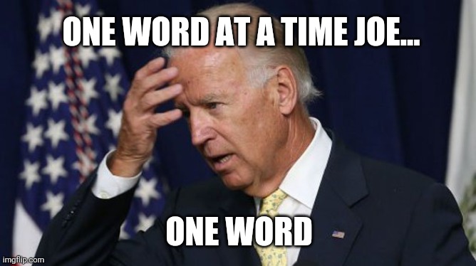 It's worse everyday. | ONE WORD AT A TIME JOE... ONE WORD | image tagged in memes | made w/ Imgflip meme maker