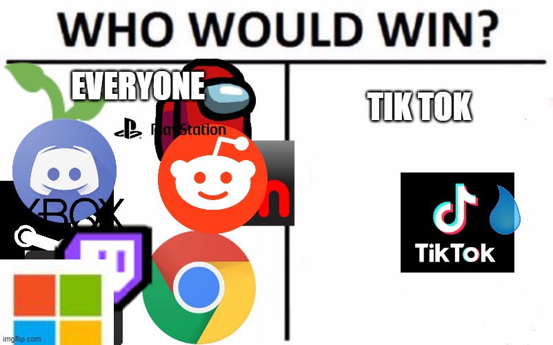 who would win? | EVERYONE; TIK TOK | image tagged in memes,who would win | made w/ Imgflip meme maker
