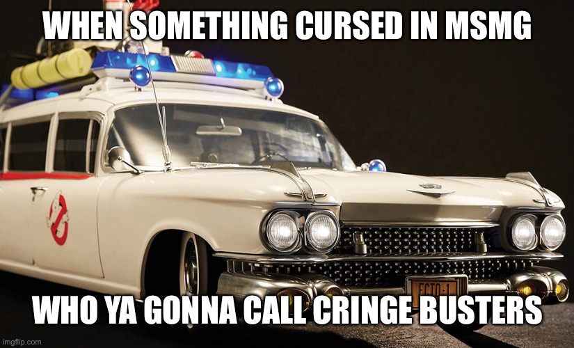 Ecto | WHEN SOMETHING CURSED IN MSMG; WHO YA GONNA CALL CRINGE BUSTERS | image tagged in ecto | made w/ Imgflip meme maker