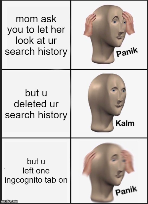 lol | mom ask you to let her look at ur search history; but u deleted ur search history; but u left one ingcognito tab on | image tagged in memes,panik kalm panik | made w/ Imgflip meme maker