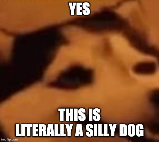 Its literally a silly dog | YES; THIS IS LITERALLY A SILLY DOG | image tagged in silly doggo | made w/ Imgflip meme maker