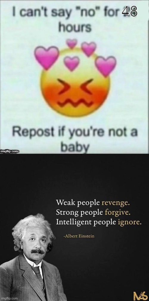 Intelligent people don’t use this quote as an excuse not to do something lmao (still not doing it) | made w/ Imgflip meme maker