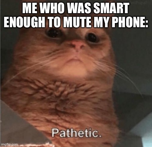 Pathetic Cat | ME WHO WAS SMART ENOUGH TO MUTE MY PHONE: | image tagged in pathetic cat | made w/ Imgflip meme maker