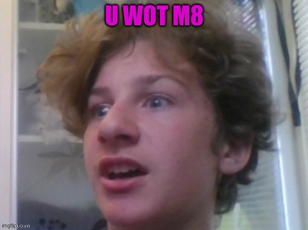 What, muffin | U WOT M8 | image tagged in what muffin | made w/ Imgflip meme maker