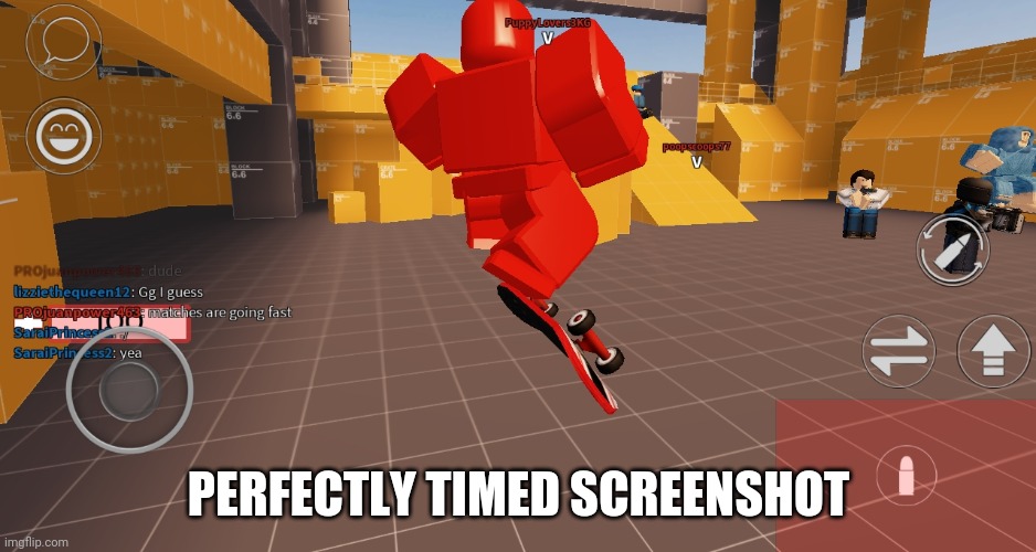 PERFECTLY TIMED SCREENSHOT | image tagged in roblox,arsenal | made w/ Imgflip meme maker