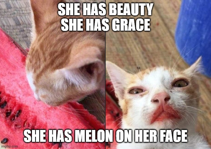 She Has... | SHE HAS BEAUTY
SHE HAS GRACE; SHE HAS MELON ON HER FACE | image tagged in funny,cats,food,watermelon,animals,nom nom nom | made w/ Imgflip meme maker