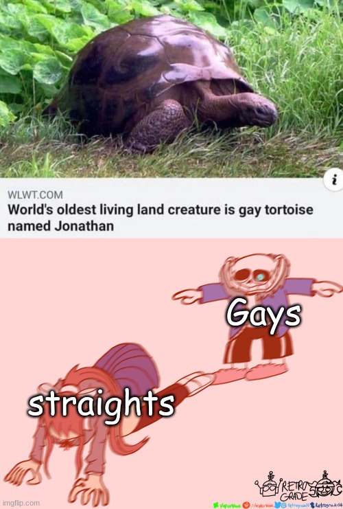 I'm straight and I feel inferior | Gays; straights | image tagged in sans t-posing on monika,tortoise,gay | made w/ Imgflip meme maker