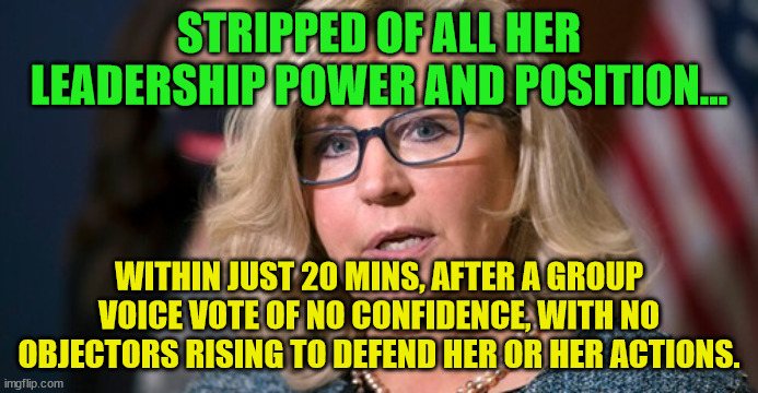 Liz Cheney | STRIPPED OF ALL HER LEADERSHIP POWER AND POSITION... WITHIN JUST 20 MINS, AFTER A GROUP VOICE VOTE OF NO CONFIDENCE, WITH NO OBJECTORS RISING TO DEFEND HER OR HER ACTIONS. | image tagged in liz cheney | made w/ Imgflip meme maker