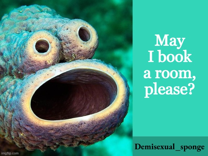 :> | May I book a room, please? | image tagged in demisexual_sponge announcement,demisexual_sponge | made w/ Imgflip meme maker