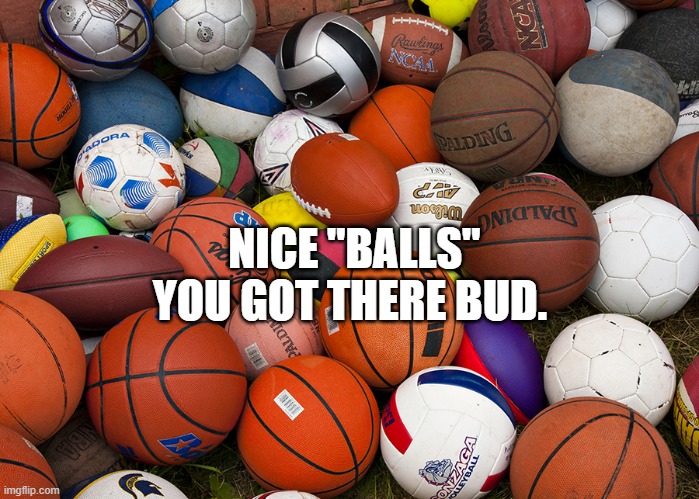 sports balls | NICE "BALLS" YOU GOT THERE BUD. | image tagged in sports balls | made w/ Imgflip meme maker