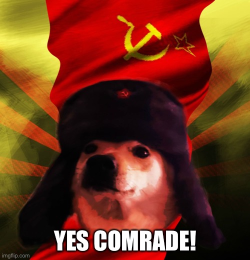 Comrade Doge | YES COMRADE! | image tagged in comrade doge | made w/ Imgflip meme maker
