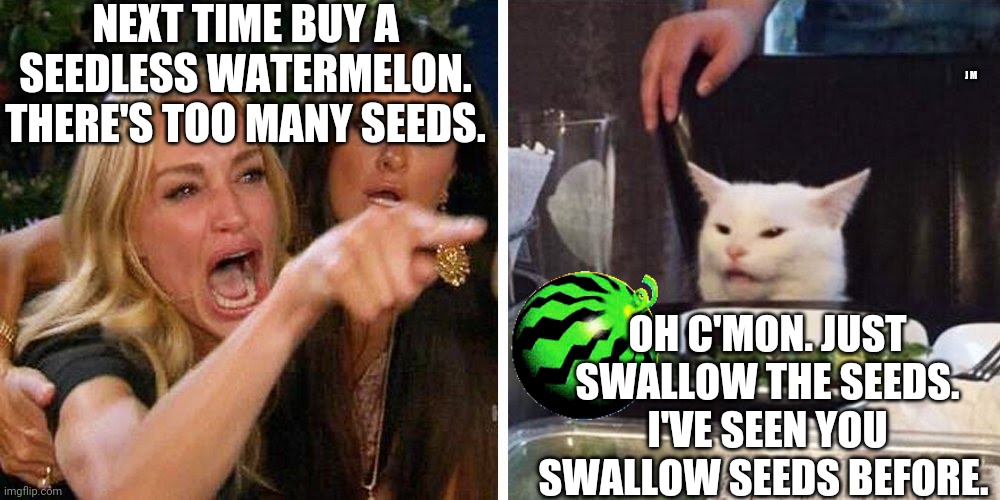 Smudge the cat | NEXT TIME BUY A SEEDLESS WATERMELON. THERE'S TOO MANY SEEDS. J M; OH C'MON. JUST SWALLOW THE SEEDS. I'VE SEEN YOU SWALLOW SEEDS BEFORE. | image tagged in smudge the cat | made w/ Imgflip meme maker
