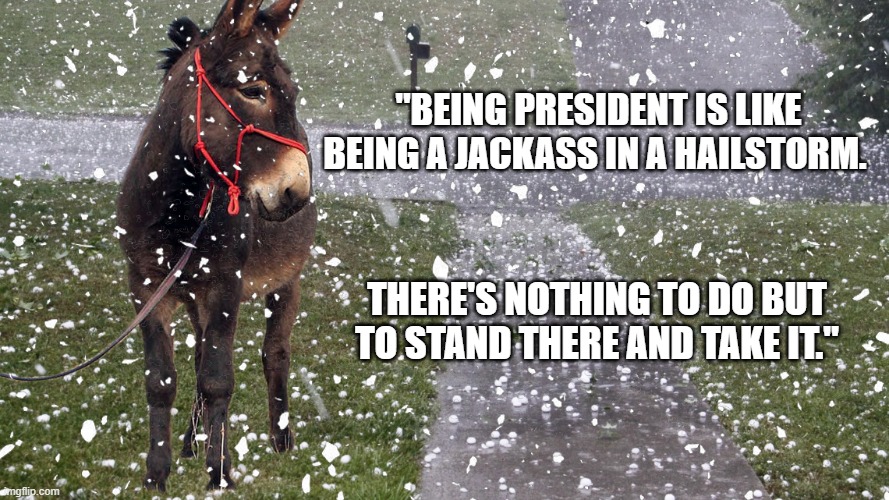 jackass in a hailstorm | "BEING PRESIDENT IS LIKE BEING A JACKASS IN A HAILSTORM. THERE'S NOTHING TO DO BUT TO STAND THERE AND TAKE IT." | image tagged in famous quotes | made w/ Imgflip meme maker