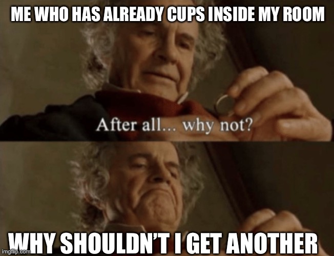 Anyone relates? | ME WHO HAS ALREADY CUPS INSIDE MY ROOM; WHY SHOULDN’T I GET ANOTHER | image tagged in after all why not | made w/ Imgflip meme maker