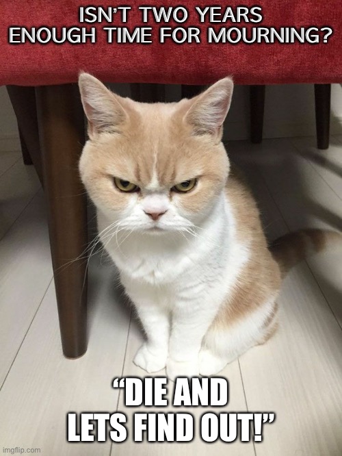 cat angry | ISN’T TWO YEARS ENOUGH TIME FOR MOURNING? “DIE AND LETS FIND OUT!” | image tagged in cat angry | made w/ Imgflip meme maker