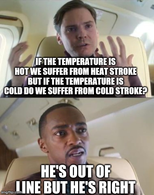 Out of line but he's right | IF THE TEMPERATURE IS HOT WE SUFFER FROM HEAT STROKE BUT IF THE TEMPERATURE IS COLD DO WE SUFFER FROM COLD STROKE? HE'S OUT OF LINE BUT HE'S RIGHT | image tagged in out of line but he's right | made w/ Imgflip meme maker