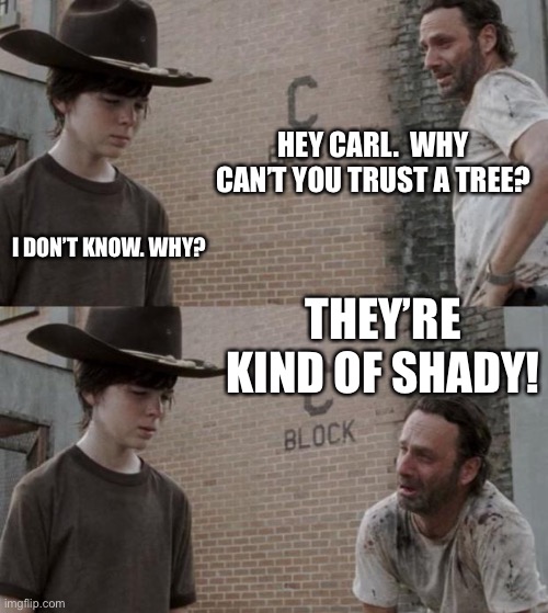 Rick and Carl | HEY CARL.  WHY CAN’T YOU TRUST A TREE? I DON’T KNOW. WHY? THEY’RE KIND OF SHADY! | image tagged in memes,rick and carl | made w/ Imgflip meme maker