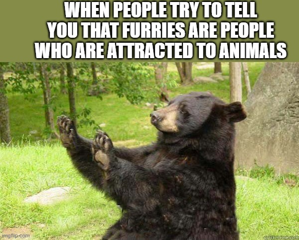 bruh how would anybody get that conclusion | WHEN PEOPLE TRY TO TELL YOU THAT FURRIES ARE PEOPLE WHO ARE ATTRACTED TO ANIMALS | image tagged in how about no bear,furry,stupid people | made w/ Imgflip meme maker